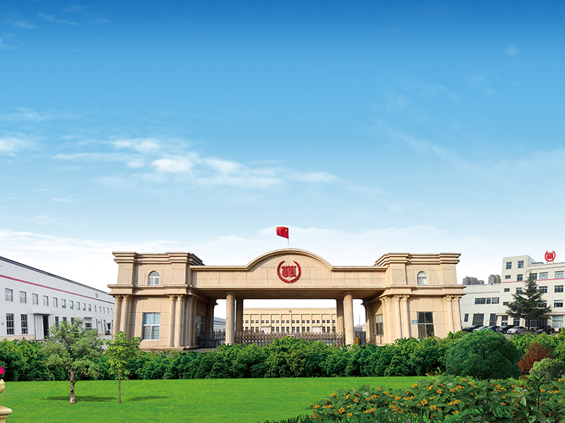 威海z6尊龙·中国官方网站镁业入选第八批国家级制造业单项冠军